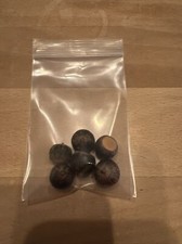 Palude - semi di quercia