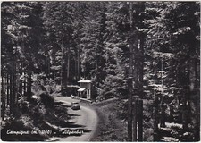 CAMPIGNA - FORLI' - "ALPENBAR" -34565-