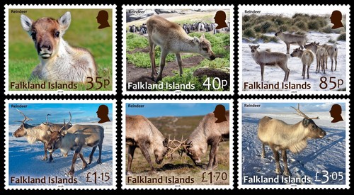 Isole falkland 2026 animali - isole,
