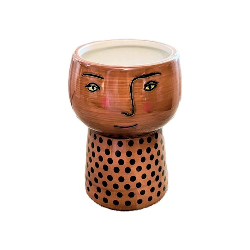 Vaso fioriera succulenta viso