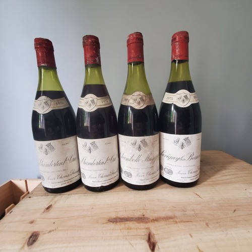 Bouteilles gevrey chambertin - 4,