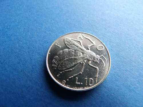 Moneta lire ape miele - 10, san