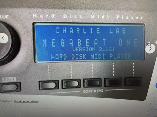 Charlie lab megabeat one - lab,