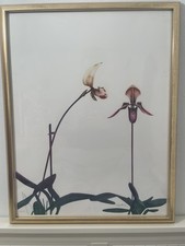 Paul Wunderlich litografia a