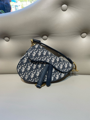 Dior blue oblique embroidery - blue,