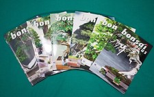 Bonsai Focus - Rivista di Arte