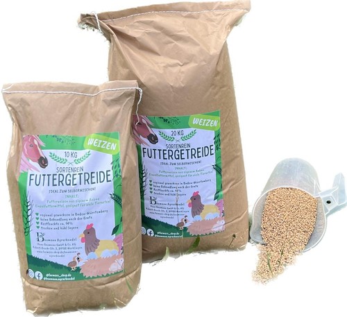 Cereali foraggio grano da - cereali,