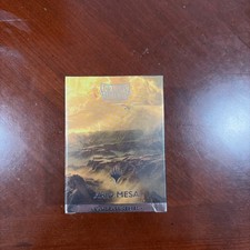 Scudo Drago Arid Mesa Maniche