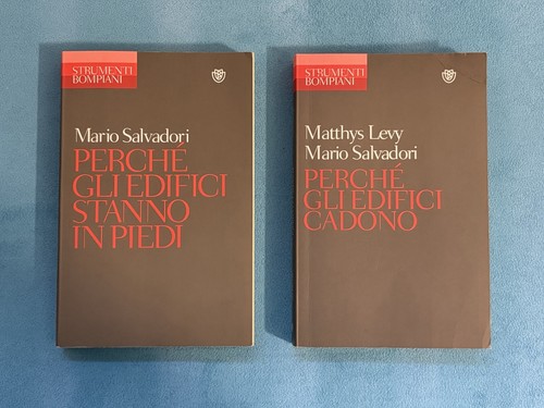 Mario salvadori levy - -, perchÉ
