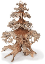 LEGNO ORIENTAL WIND 8 MD