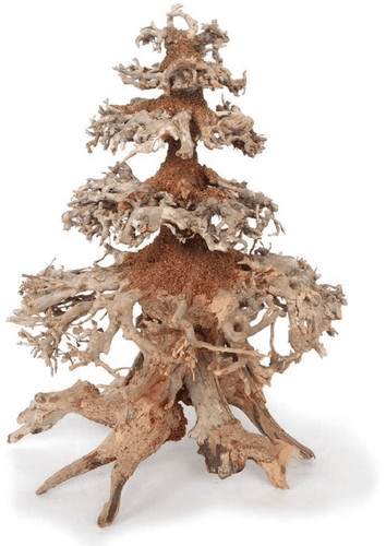 Legno oriental wind md - oriental,