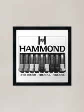 Hammond organo logo e grafica