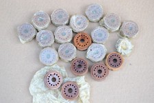 Pl31 socket sockets - pl31-p, for