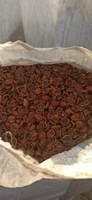Biomassa gusci nocciola 500 - gusci,
