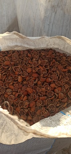 Biomassa gusci nocciola 500 - nocciola,