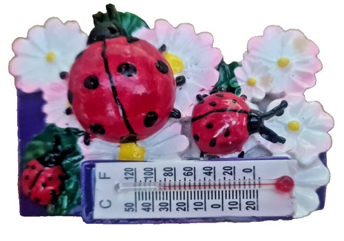 Souvenir magnete frigo - magnete,