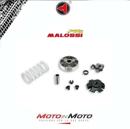 Variatore malossi multivar - malossi,