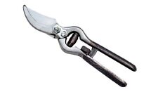 Forbice potatura professionale forbice da vigna lucida Cm 25 Ausonia