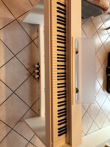 Pianoforte digitale casio - pianoforte,