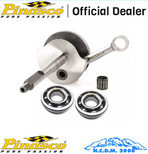 Pinasco Albero Motore Racing
