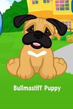 Webkinz Classic Bullmastiff