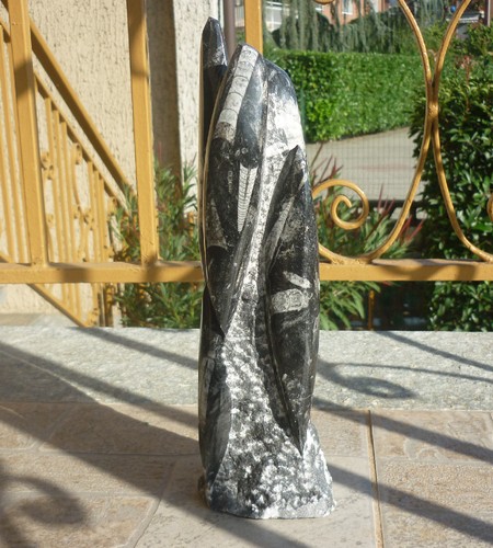 Statua scultura fossile - statua,