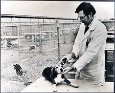 Foto vintage Beagle Università della California Ft 35393 - Stampa 30x40 cm