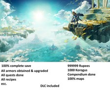 The Legend of Zelda: Tears of the Kingdom - Save Data 100% (not the game)