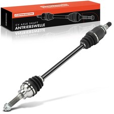 Frankberg Semiasse Posteriore