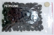 70 pigne di ontano filtro acquario caridine discus ciclidi sostanze umiche pH