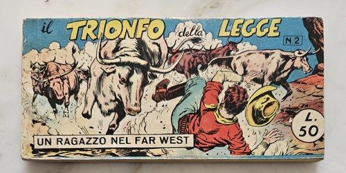 Ragazzo nel far west - 6),