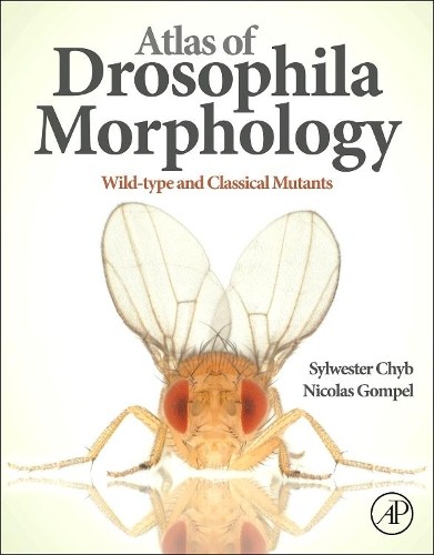 Atlas drosophila morphology - of,