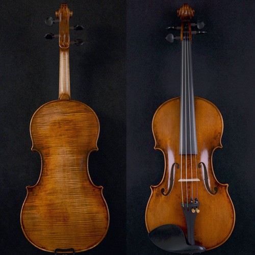 Back violino maestro - 1-pz,