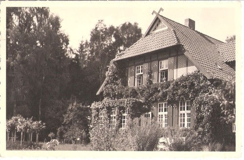 Warin edera villa orig - edera,