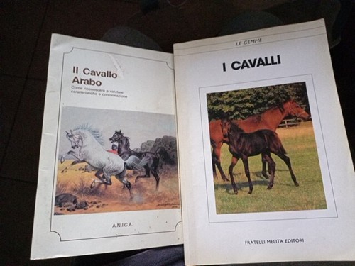 Cavallo arabo gemme i - le,