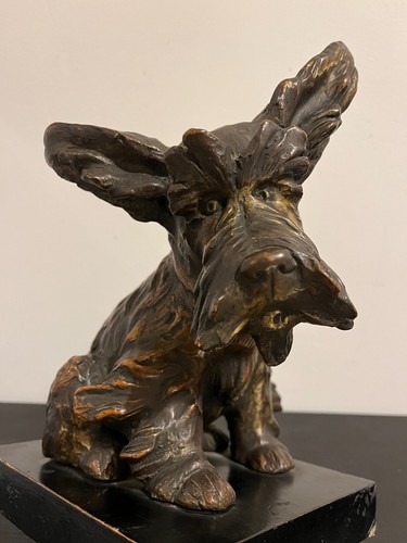 Cacciapuoti dog in - cacciapuoti:,