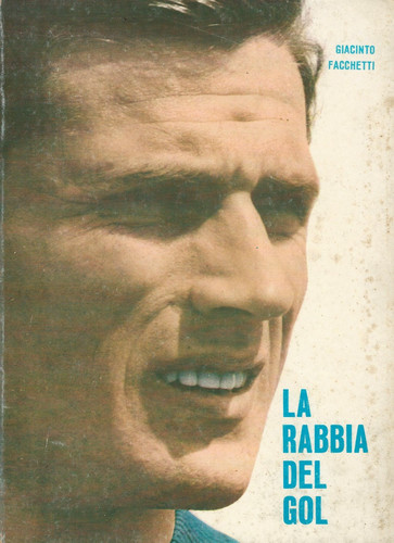 Rabbia del gol giacinto - rabbia,