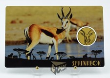 African Sprinbok - Africa's