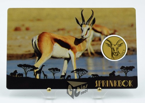 African sprinbok africa s - african, africa's