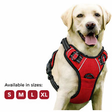 PETTORINA PER CANI Antitiro