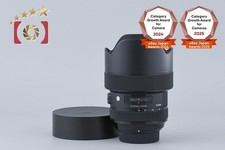 Sigma Art 14-24mm f/2.8 DG HSM