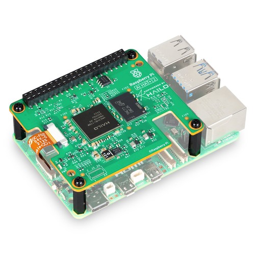 Raspberry hat 2 40 - raspberry,