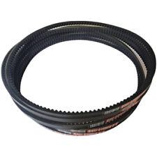 1613903205 Cinghia per