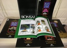 BONSAI & NEWS RIVISTE 6 pz