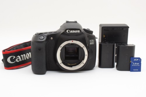 Corpo fotocamera reflex