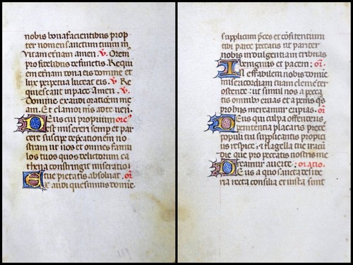 Grafia pergamena foglia - foglia, di