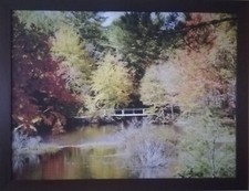 TERMOQUADRO LEONARDO RISCALDANTE "BOSCO" CON CORNICE IN LEGNO SCURO CM 60 X 80 