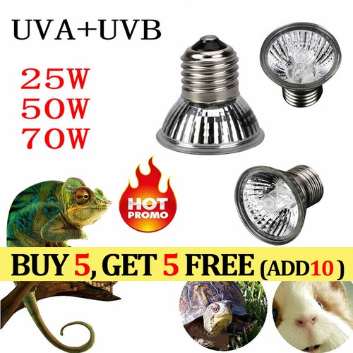 Lampadina rettile 75w - lampadina,