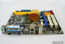 Scheda madre Asus P5QPL-AM FSB