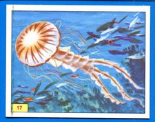 ANIMALI PREISTORICI - Panini